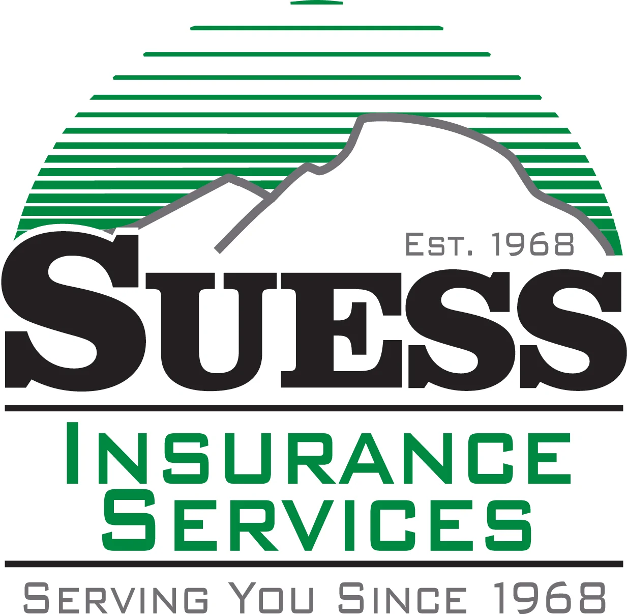 Suess Insurance | No shortcuts, just results